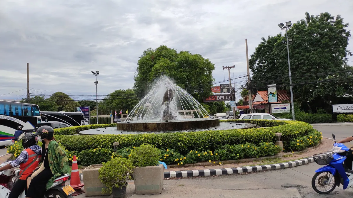Dolphin Circle
