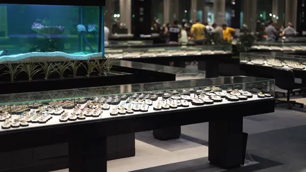 Atmosphere at GEMS GALLERY Pattaya Pattaya — travel photo