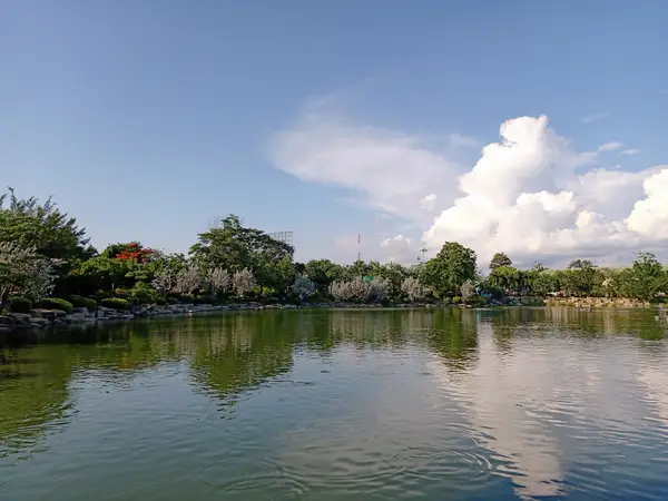 Details at Nongprue Public Park Pattaya — travel photo