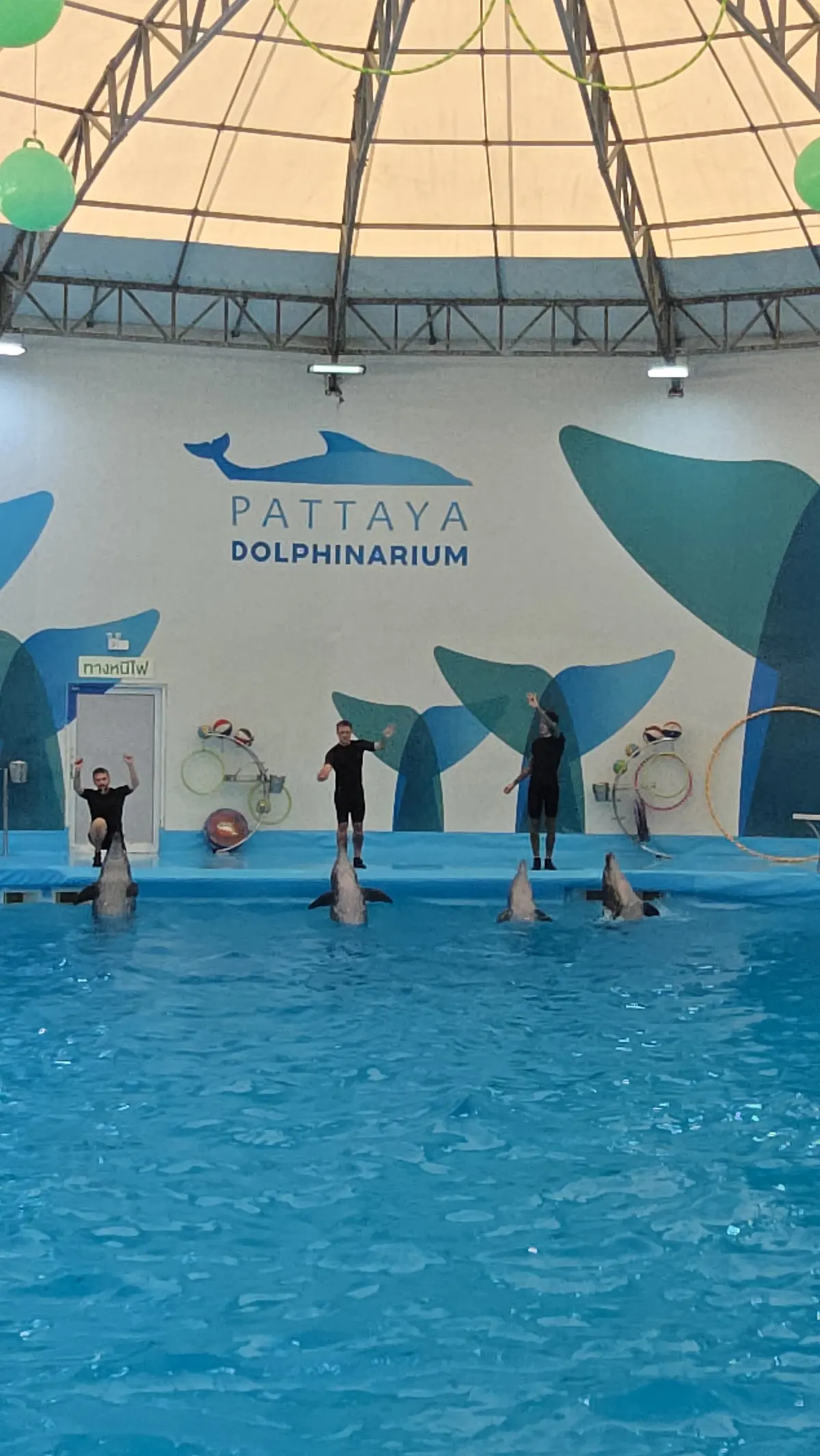 Main view at Pattaya Dolphinarium Pattaya — travel photo