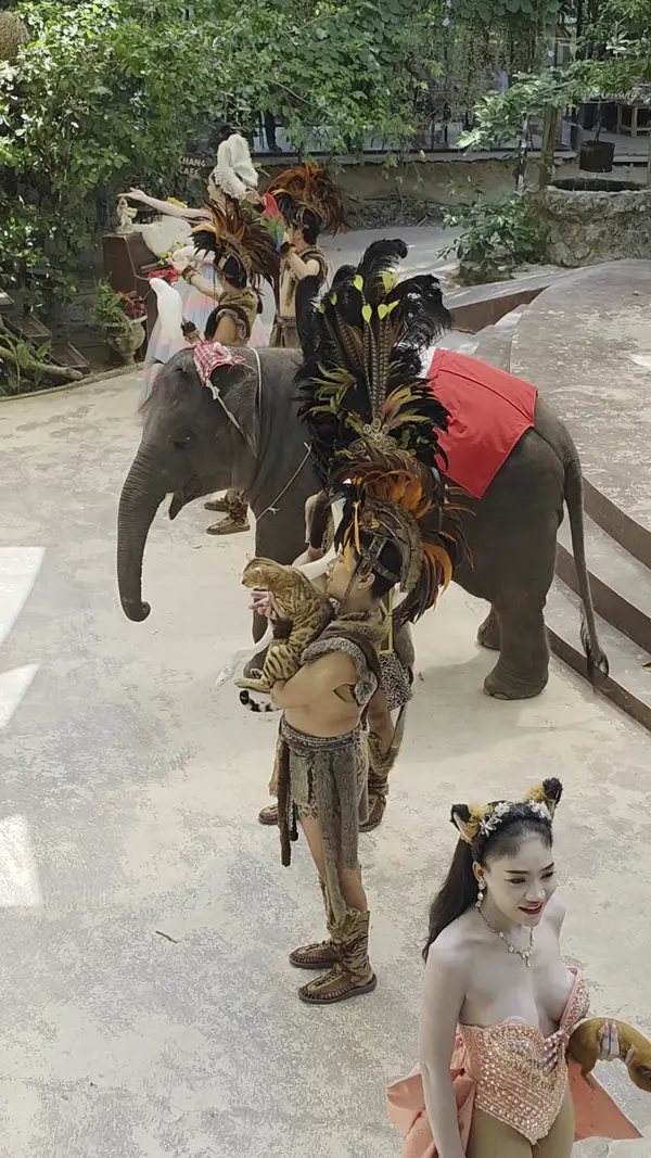 Interior at Pattaya Elephant Village Pattaya — travel photo