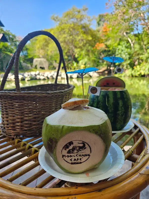 Details at Pattaya Elephant Village Pattaya — travel photo