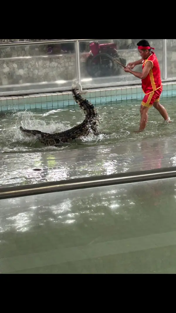Interior at The Million Years Stone Park & Pattaya Crocodile Farm Pattaya — travel photo