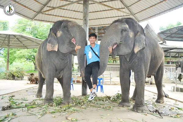 Atmosphere at The Million Years Stone Park & Pattaya Crocodile Farm Pattaya — travel photo