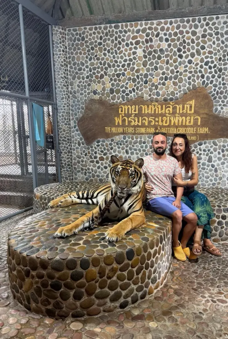 The Million Years Stone Park & Pattaya Crocodile Farm in Pattaya