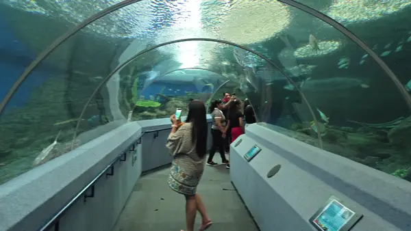 Interior at Underwater World Pattaya Pattaya — travel photo