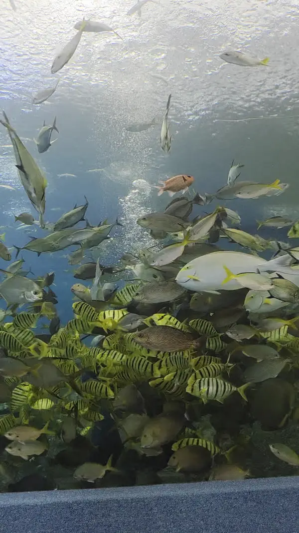 Details at Underwater World Pattaya Pattaya — travel photo