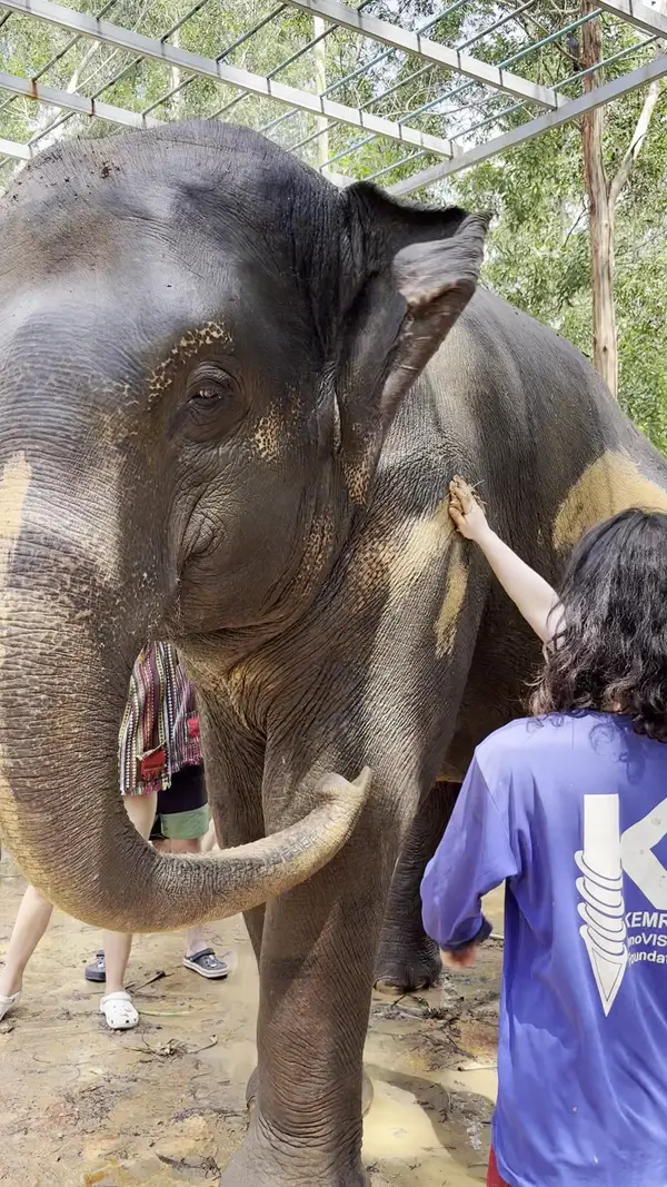 Interior at Elephant Care Park Nai Dee Phuket Phuket — travel photo
