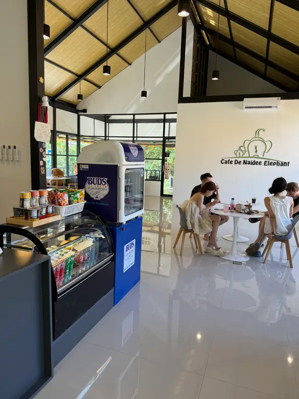 Details at Elephant Care Park Nai Dee Phuket Phuket — travel photo