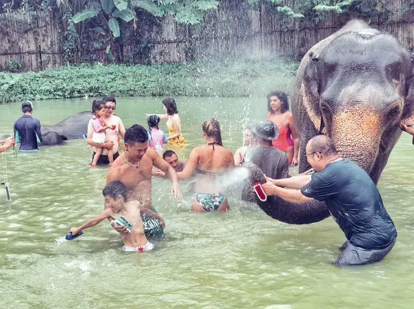 Atmosphere at Elephant Care Park Nai Dee Phuket Phuket — travel photo