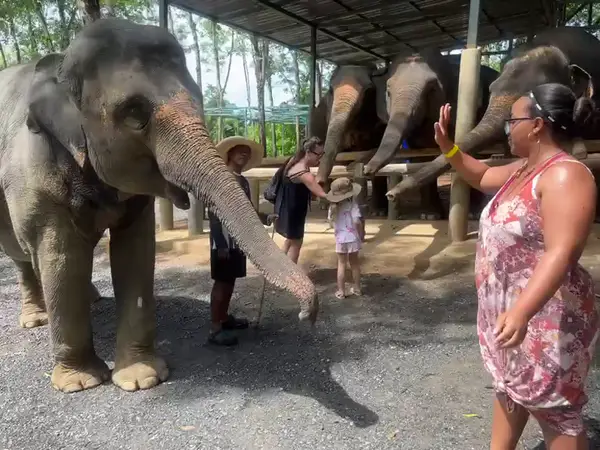 Interior at Lily Elephant Camp @Phuket Phuket — travel photo