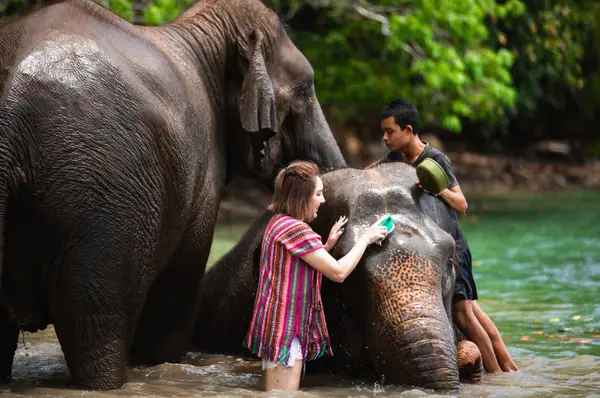 Details at Lily Elephant Camp @Phuket Phuket — travel photo