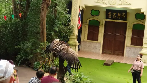 Interior at Phuket Bird Park Phuket — travel photo