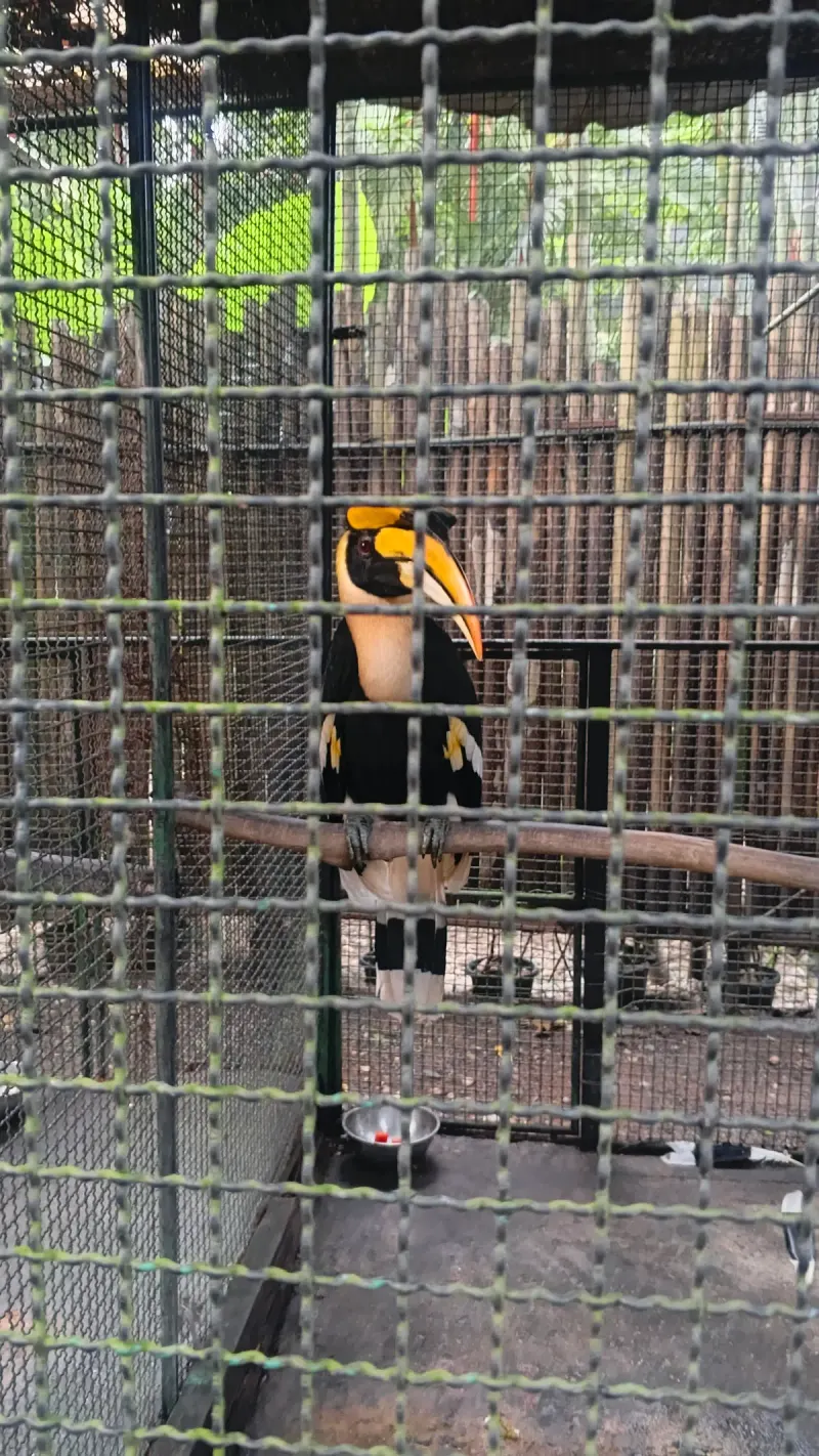 Phuket Bird Park in Phuket
