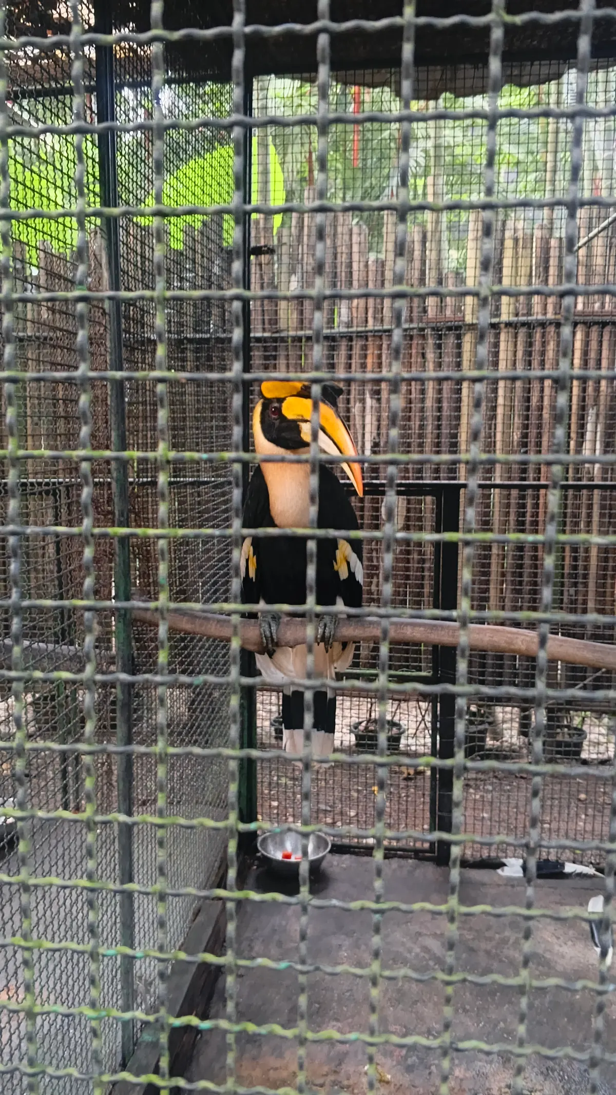 Phuket Bird Park