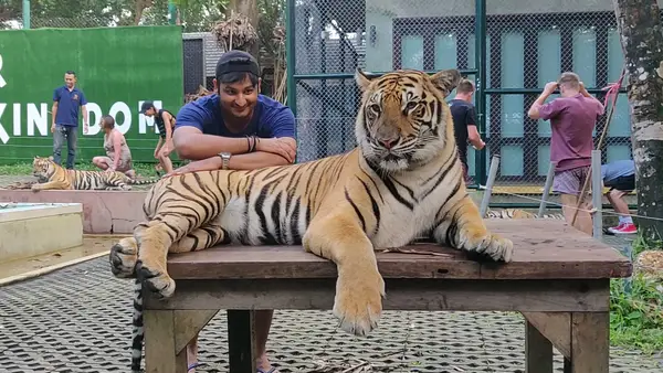 Interior at Tiger Kingdom Phuket — travel photo