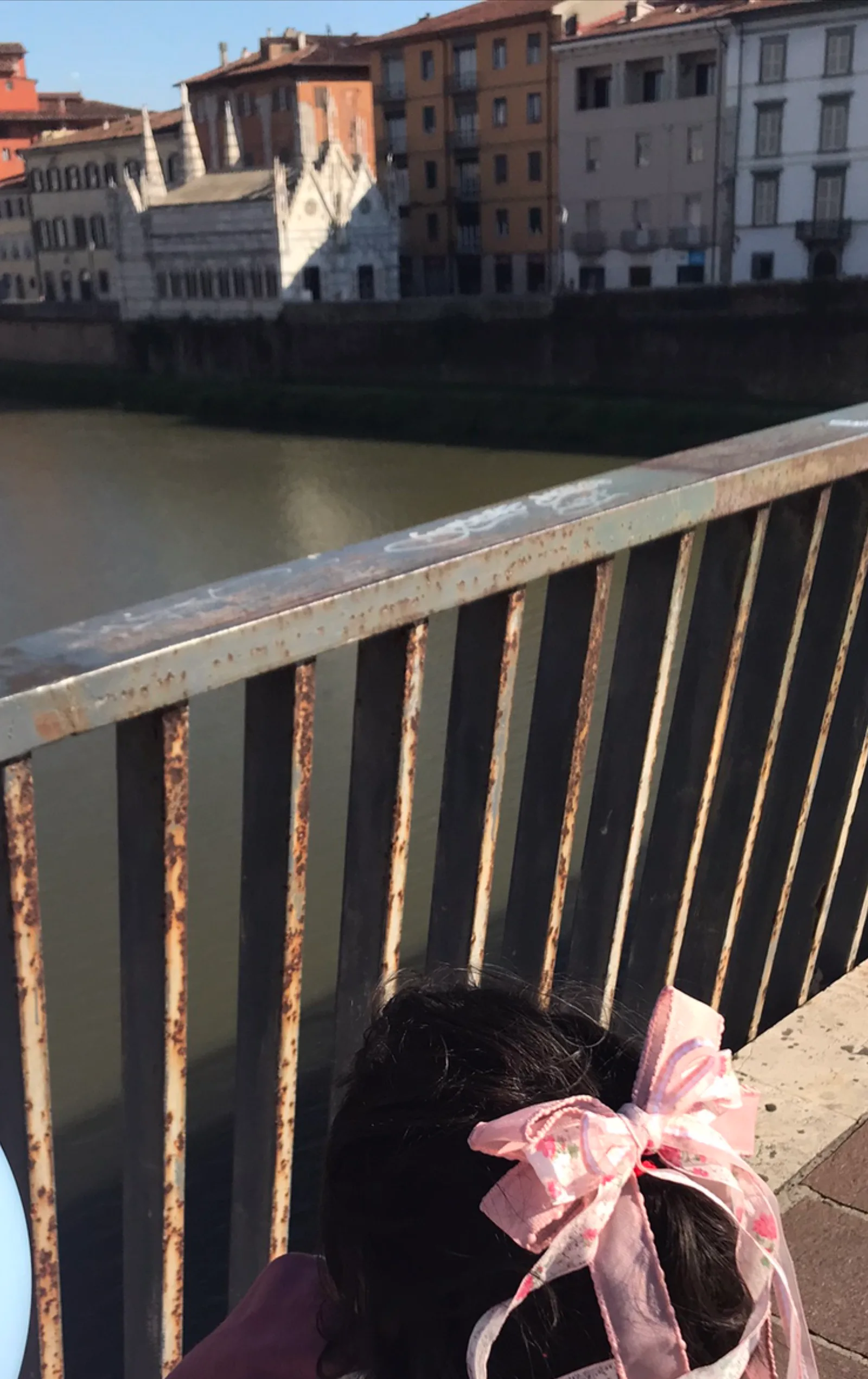 Atmosphere at Church of Saint Mary of the Thorn Pisa — travel photo