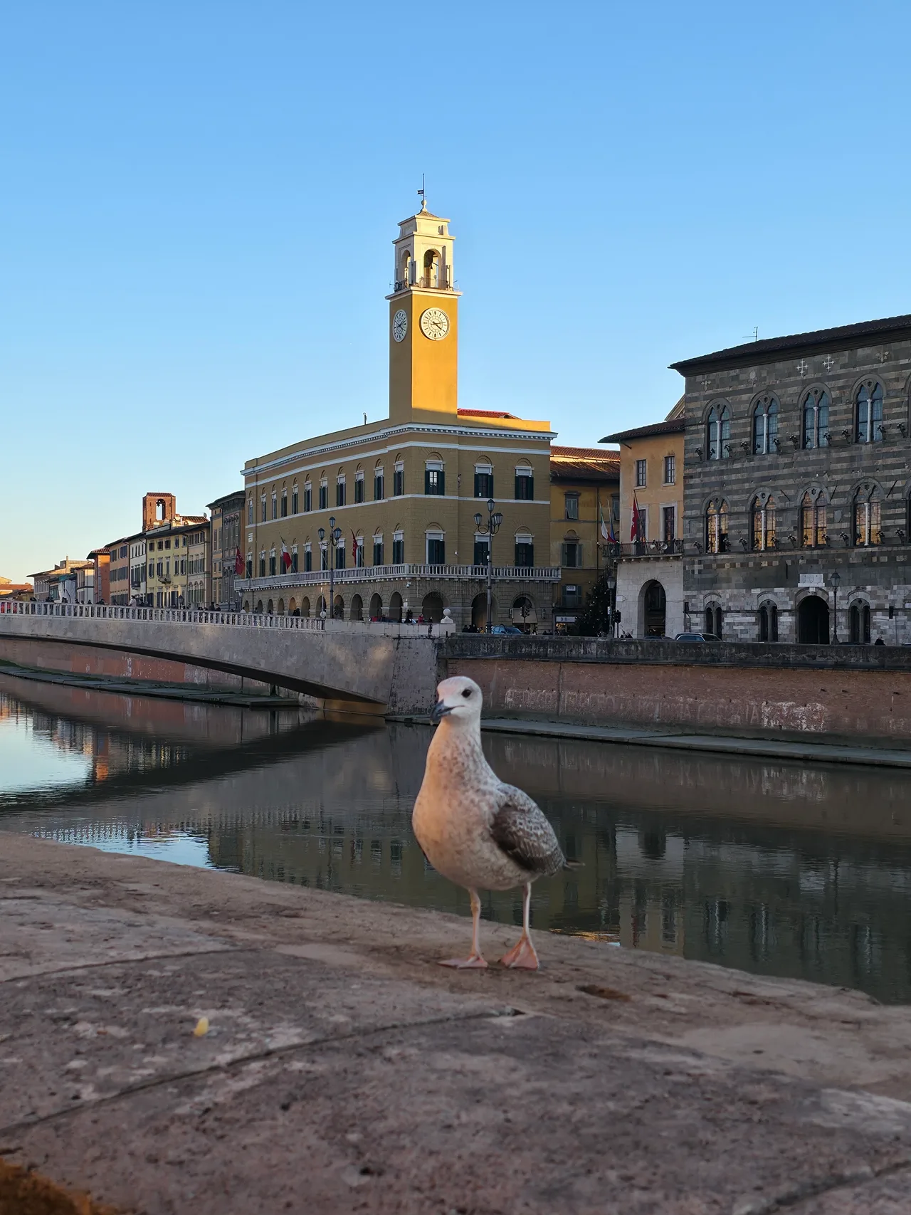 Lungarni di Pisa