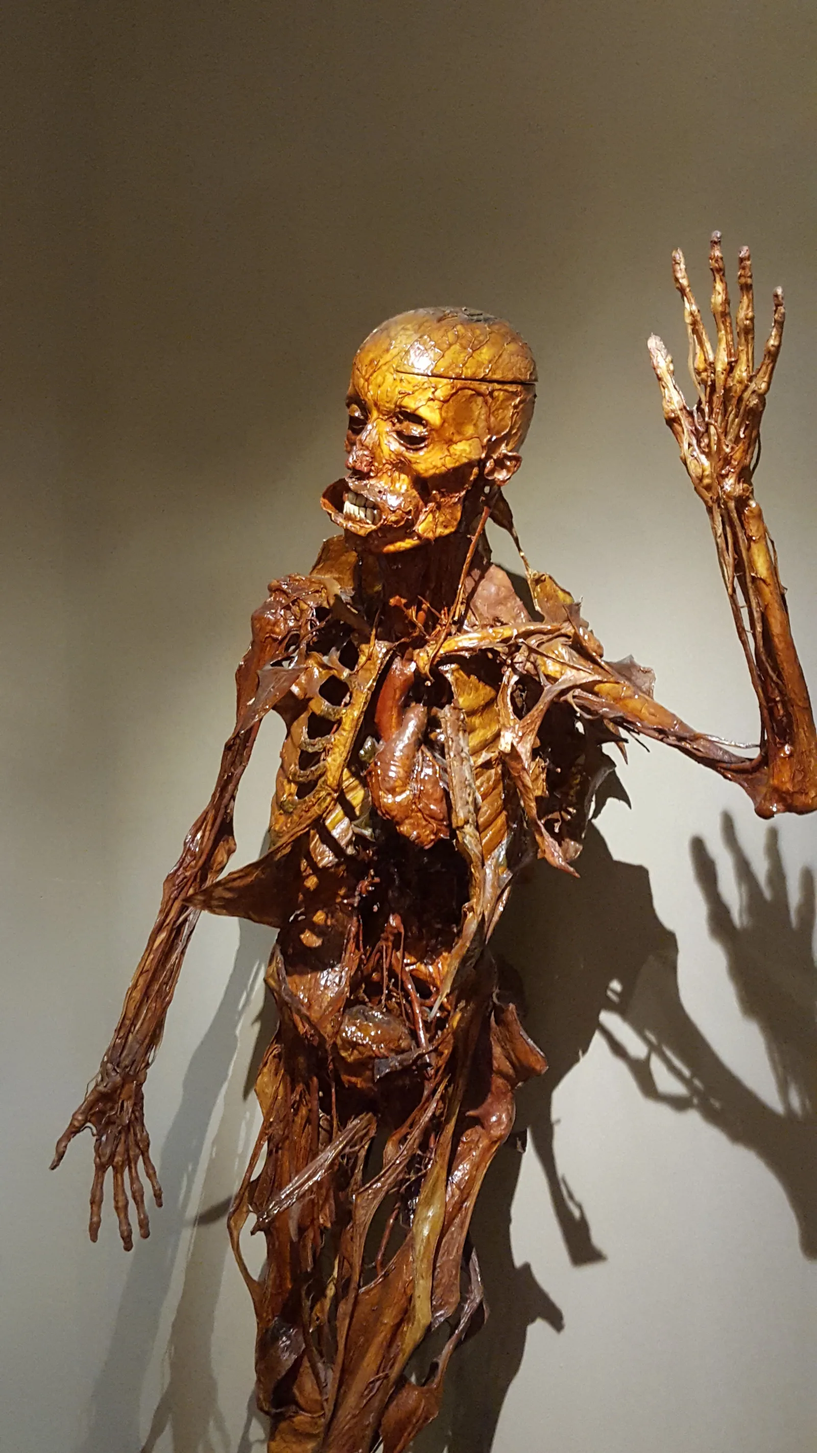 Main view at Museo della Grafica Palazzo Lanfranchi Pisa — travel photo