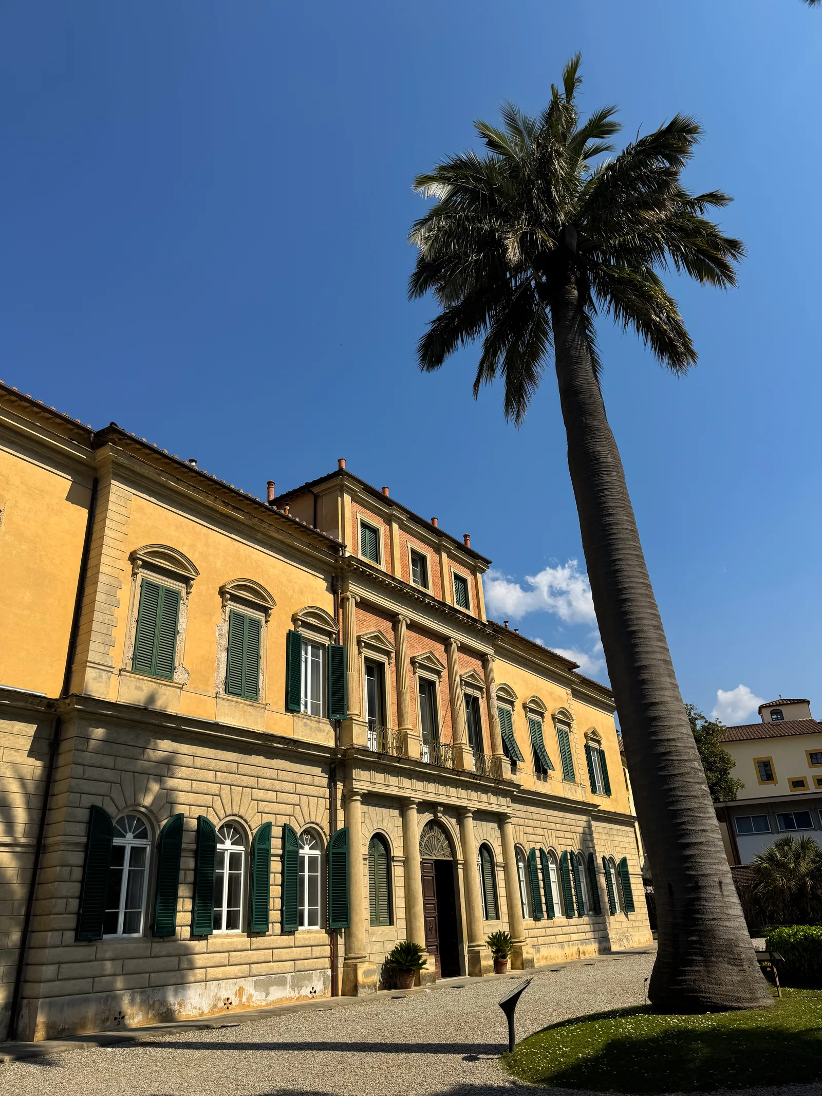 Interior at Orto e Museo Botanico Pisa — travel photo