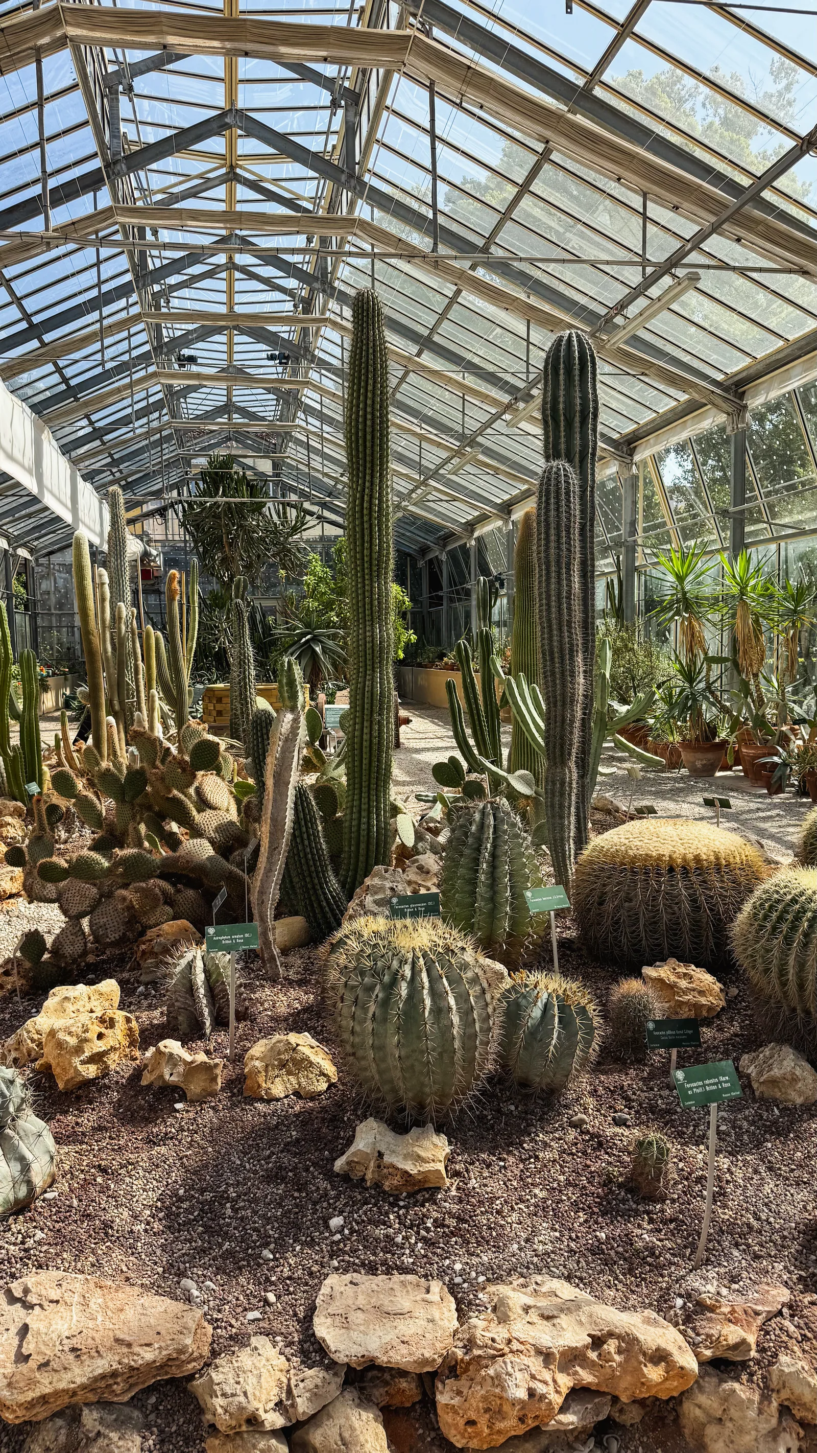 Details at Orto e Museo Botanico Pisa — travel photo