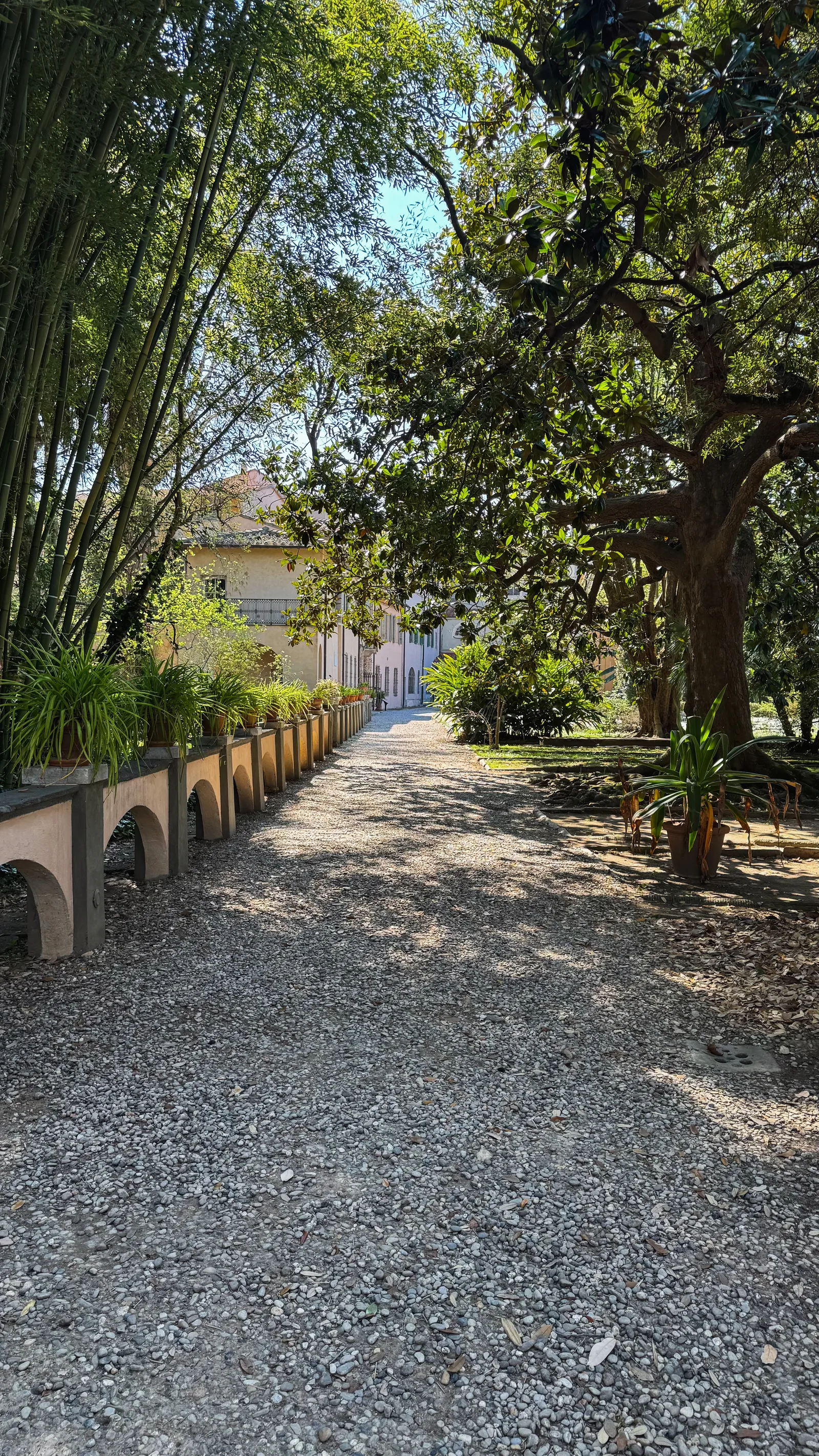 Atmosphere at Orto e Museo Botanico Pisa — travel photo