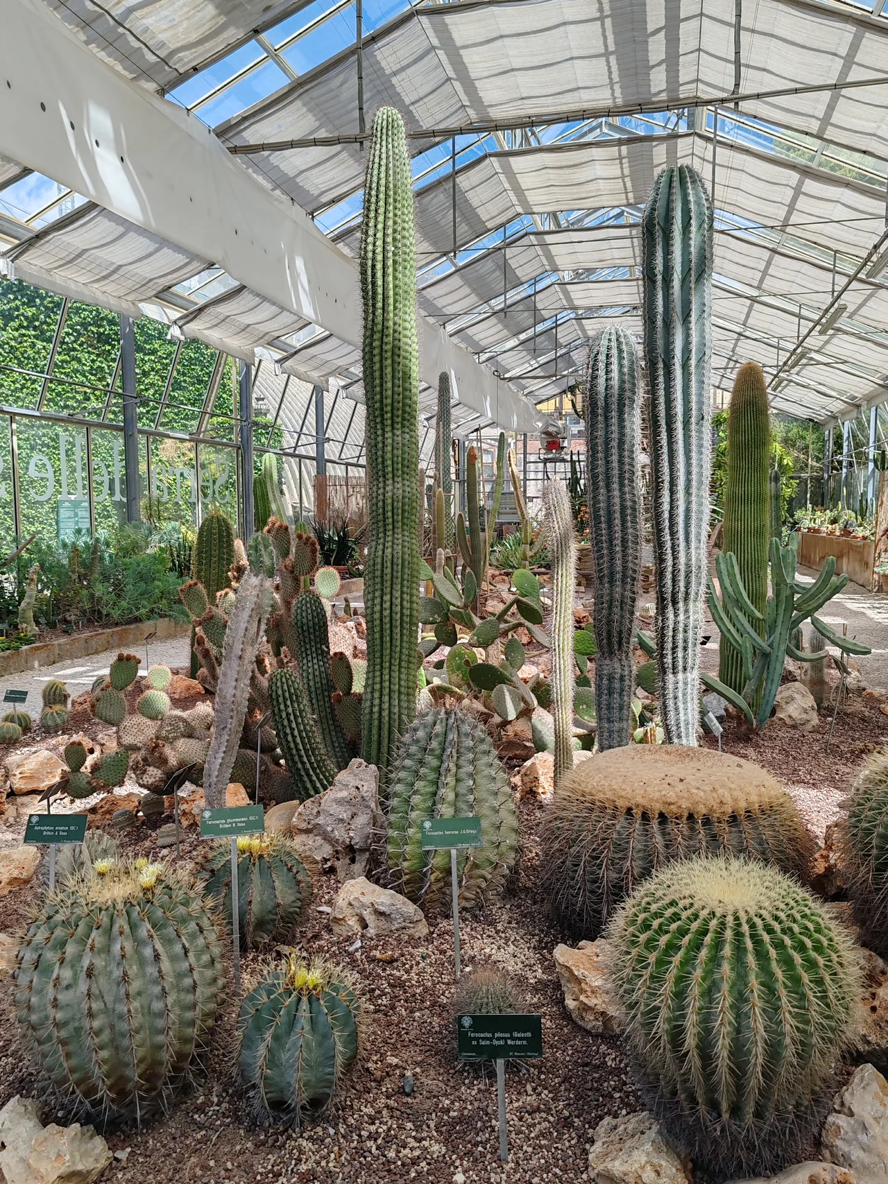 Orto e Museo Botanico