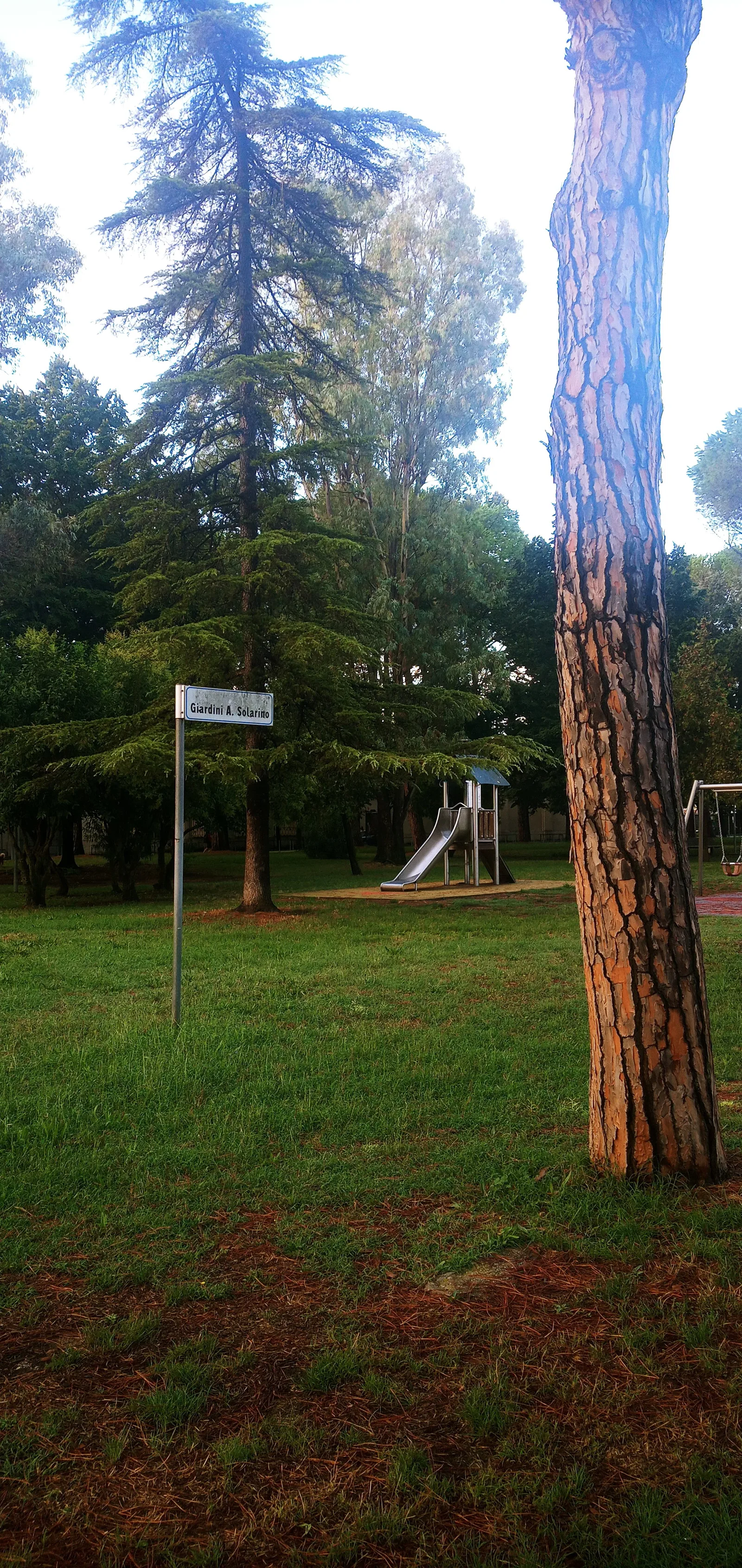 Atmosphere at Parco Alfredo Solarino Pisa — travel photo