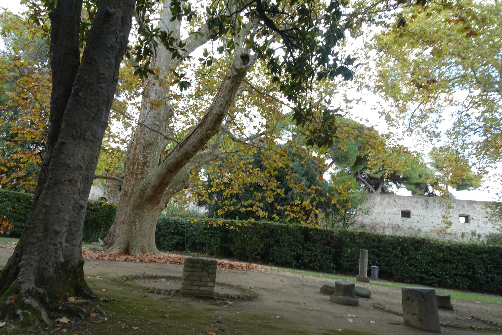 Interior at Parco Pisanova Pisa — travel photo