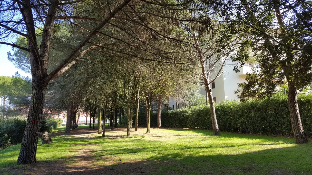 Parco Pisanova — romantic guide Pisa