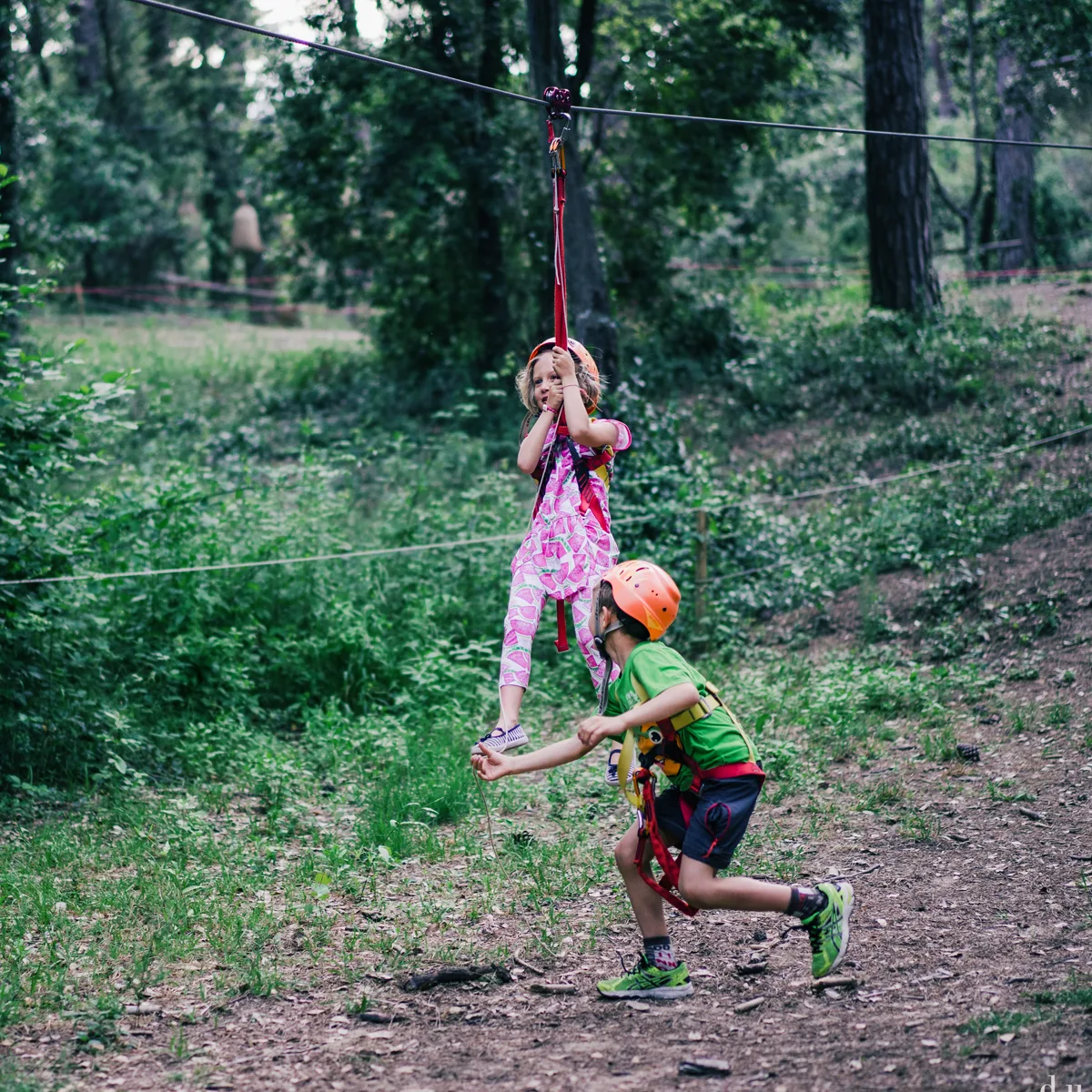 Main view at The Adventure Park Pineto Pisa — travel photo