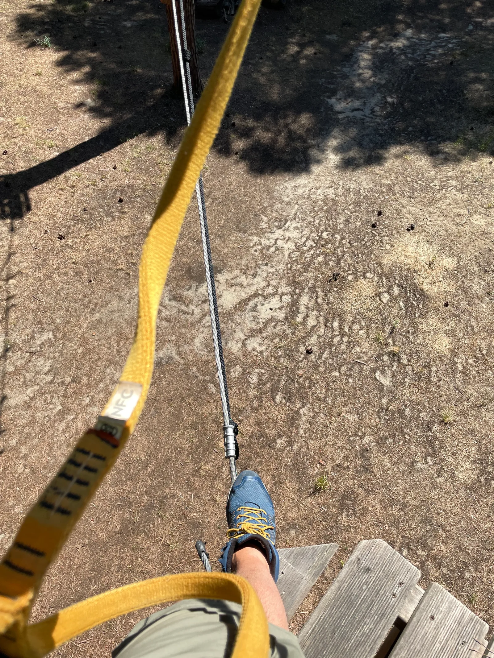 Details at The Adventure Park Pineto Pisa — travel photo