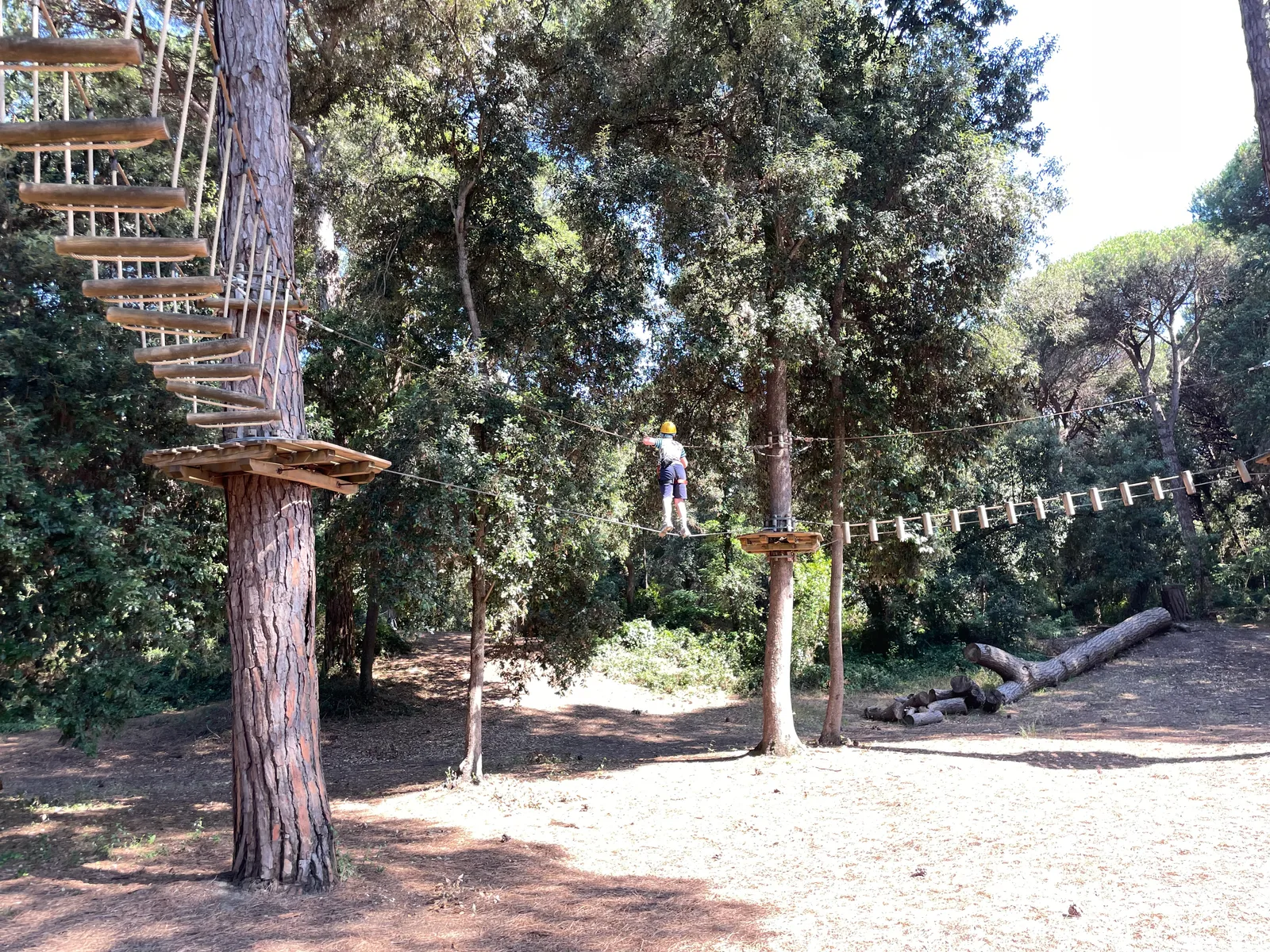Atmosphere at The Adventure Park Pineto Pisa — travel photo