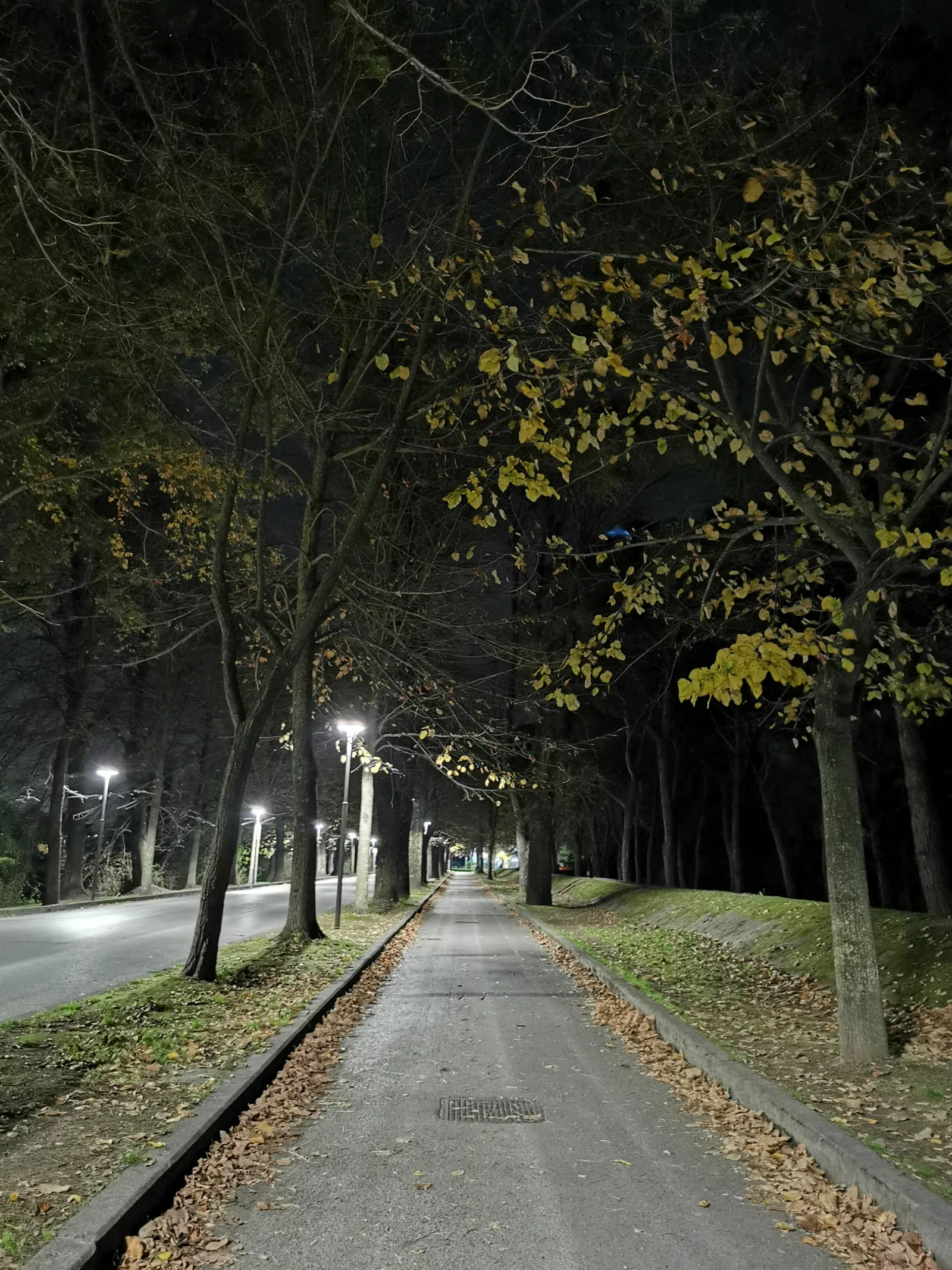 Interior at Viale Piagge Pisa — travel photo