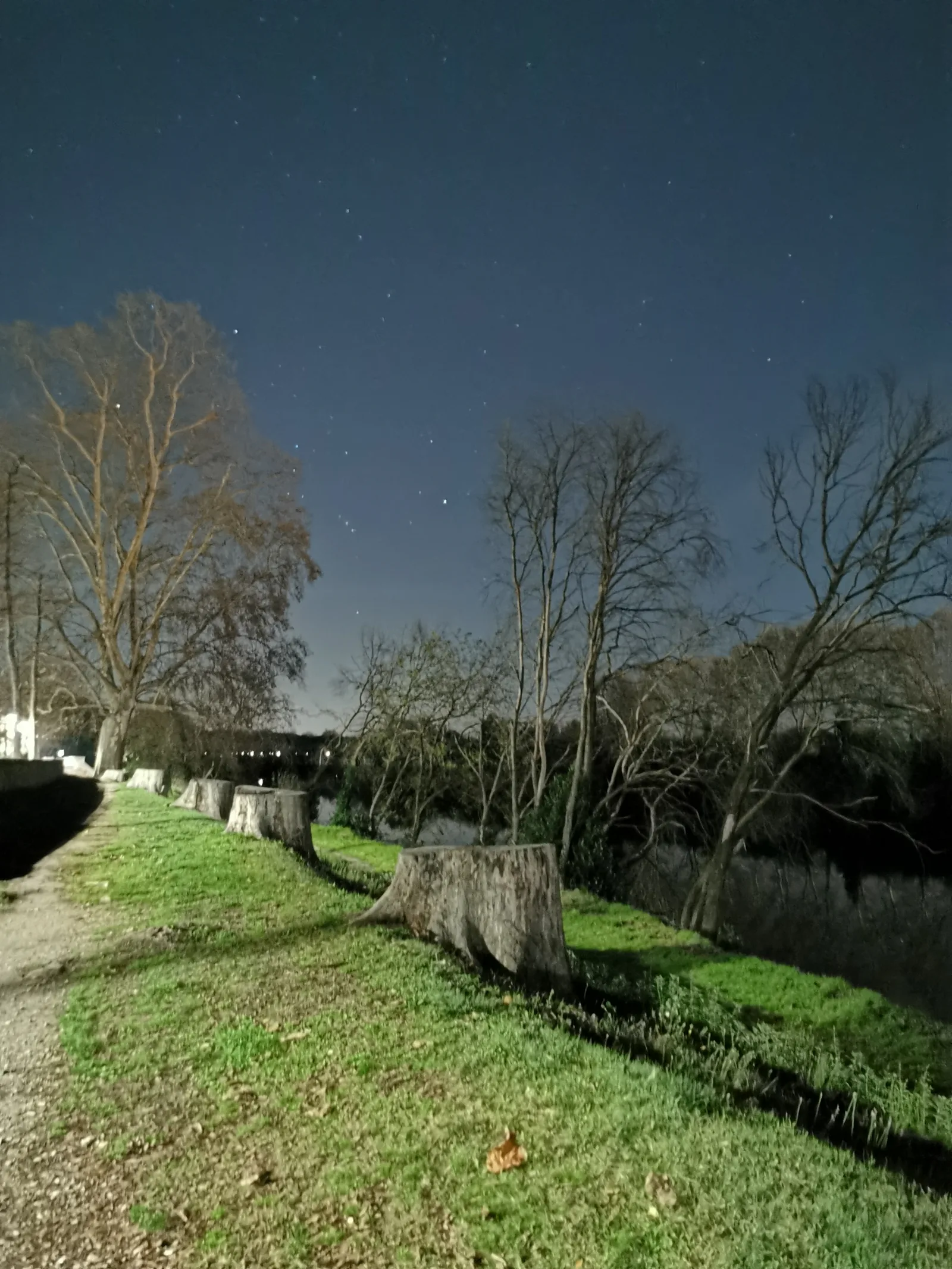 Atmosphere at Viale Piagge Pisa — travel photo