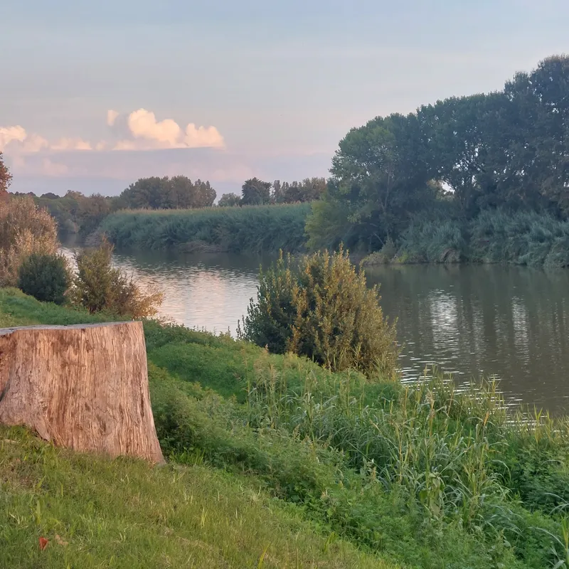 Viale Piagge