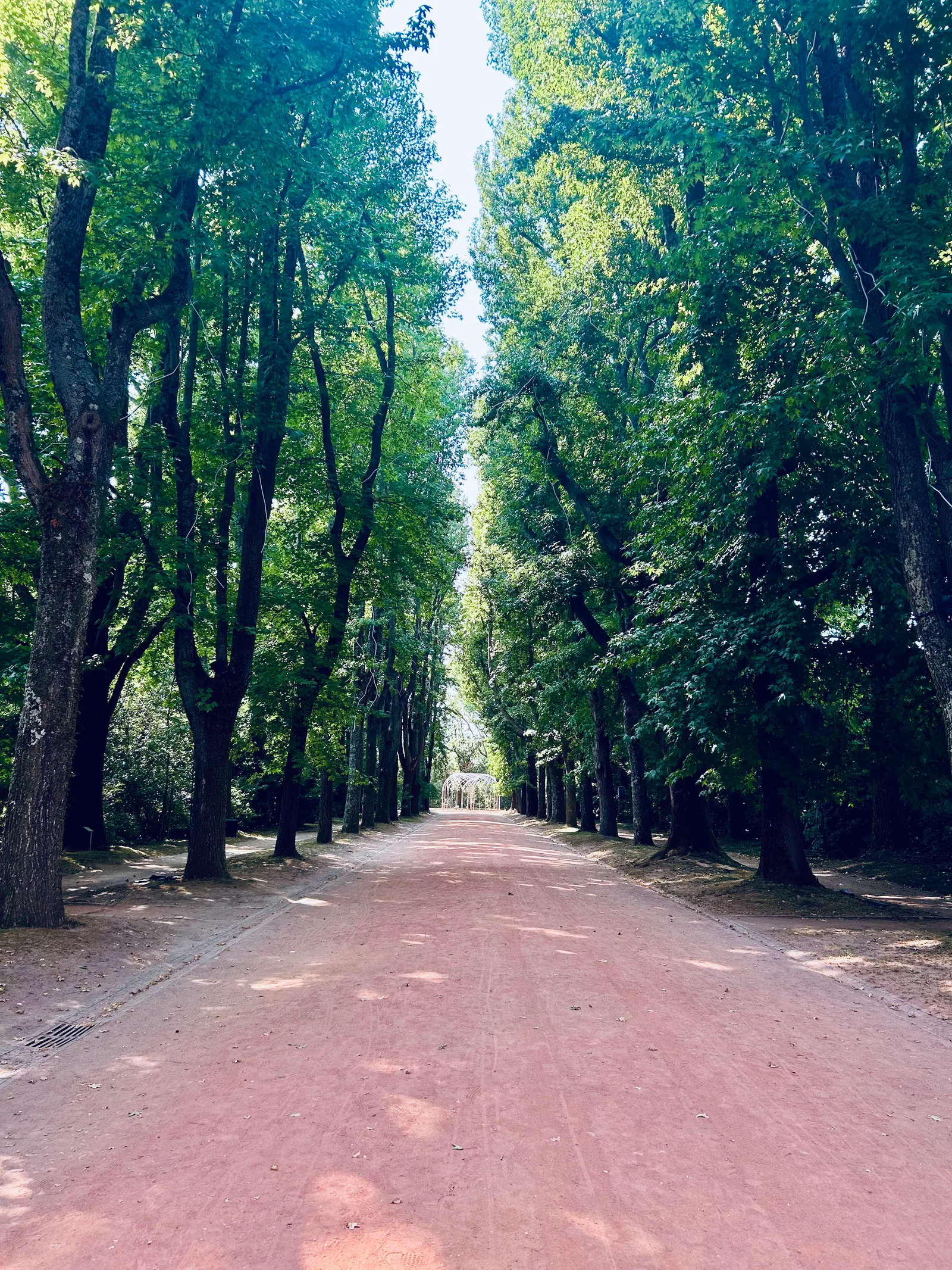 Main view at Fundação Serralves Porto — travel photo