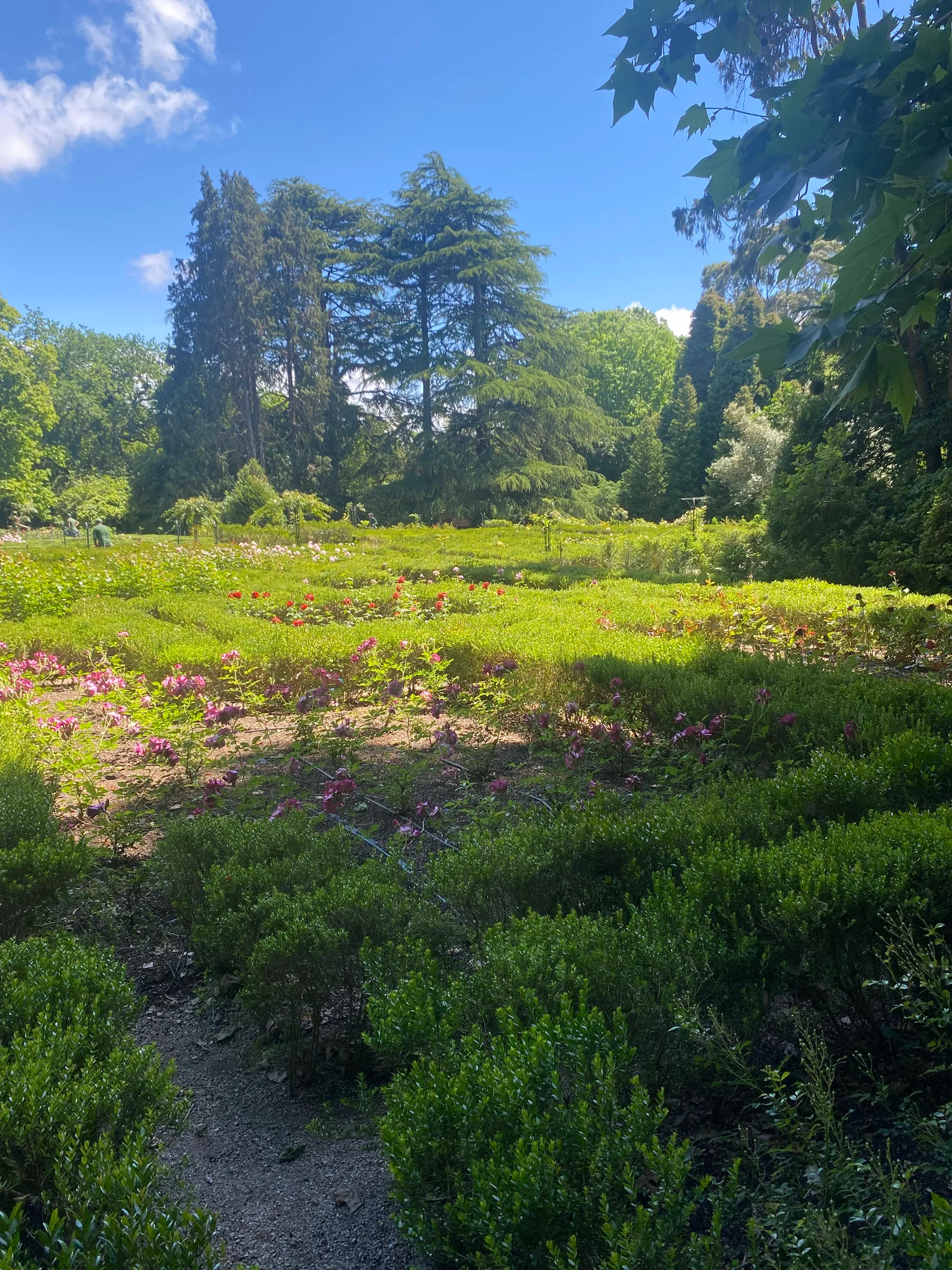 Atmosphere at Fundação Serralves Porto — travel photo