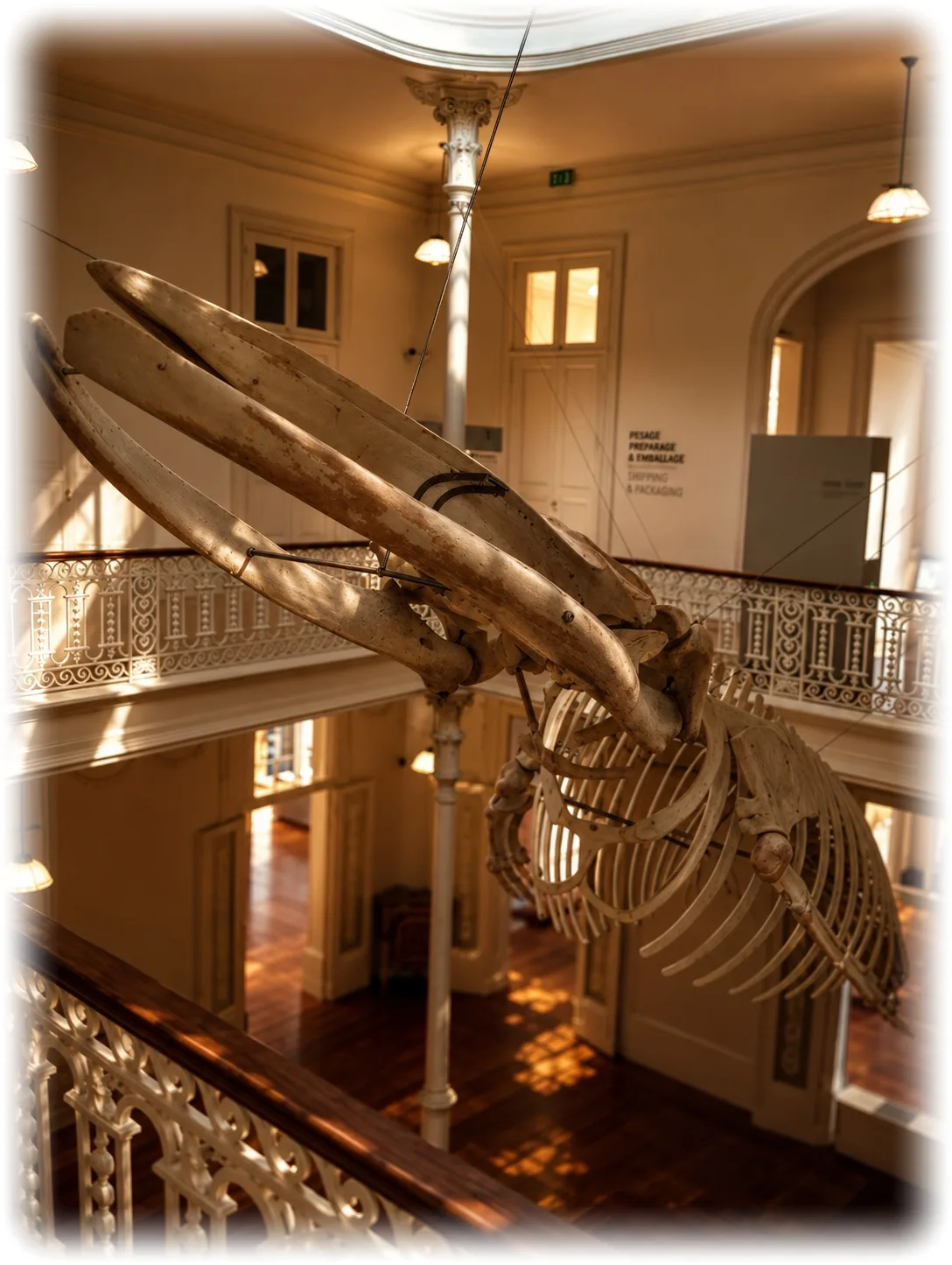 Main view at Galeria da Biodiversidade Porto — travel photo