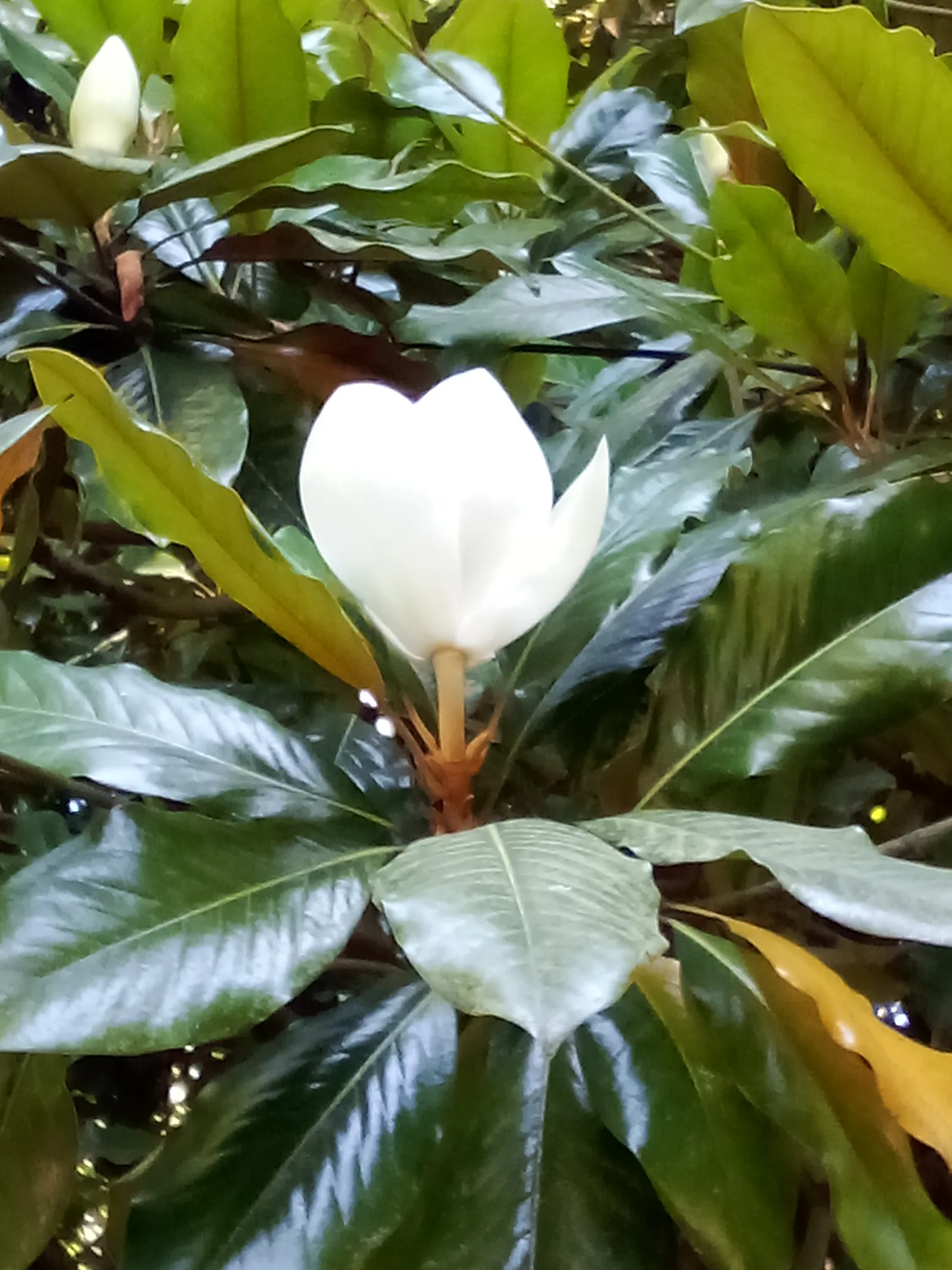 Details at Galeria da Biodiversidade Porto — travel photo