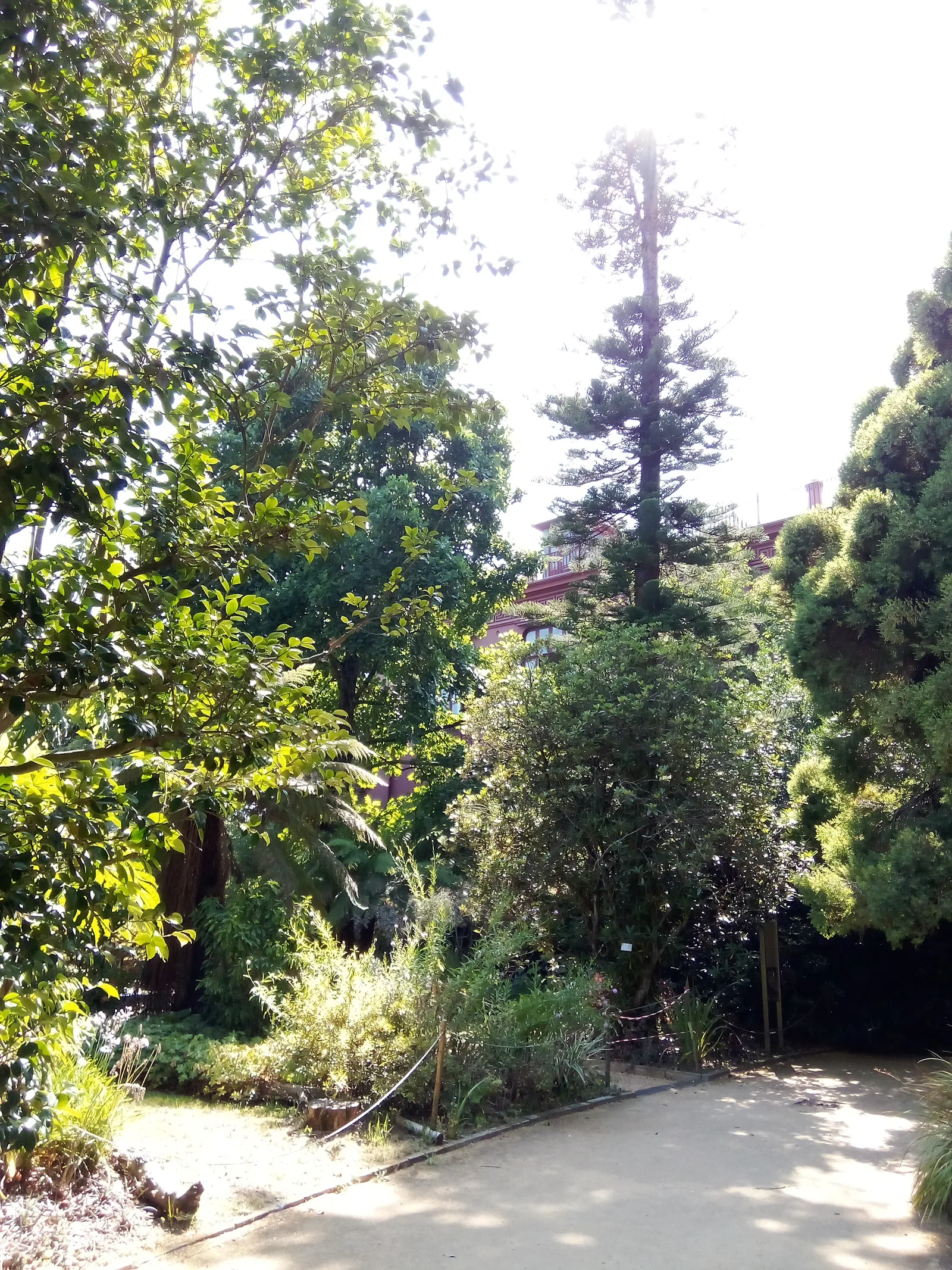 Atmosphere at Galeria da Biodiversidade Porto — travel photo