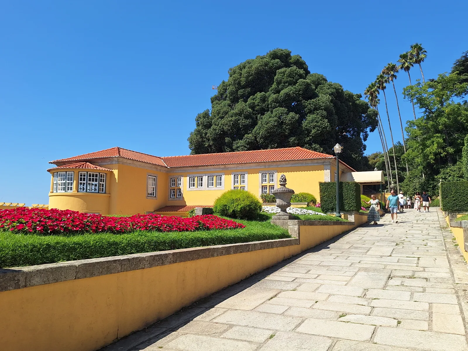 Main view at House of Rose Garden Porto — travel photo