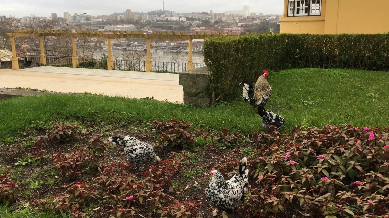 Details at House of Rose Garden Porto — travel photo