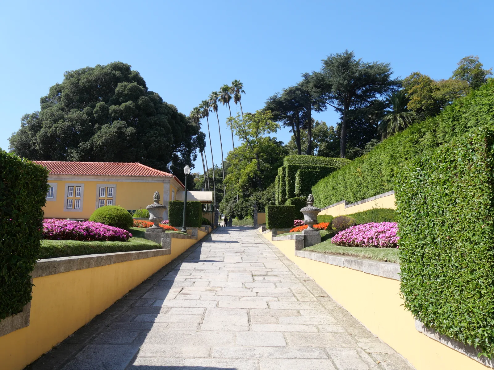 Atmosphere at House of Rose Garden Porto — travel photo