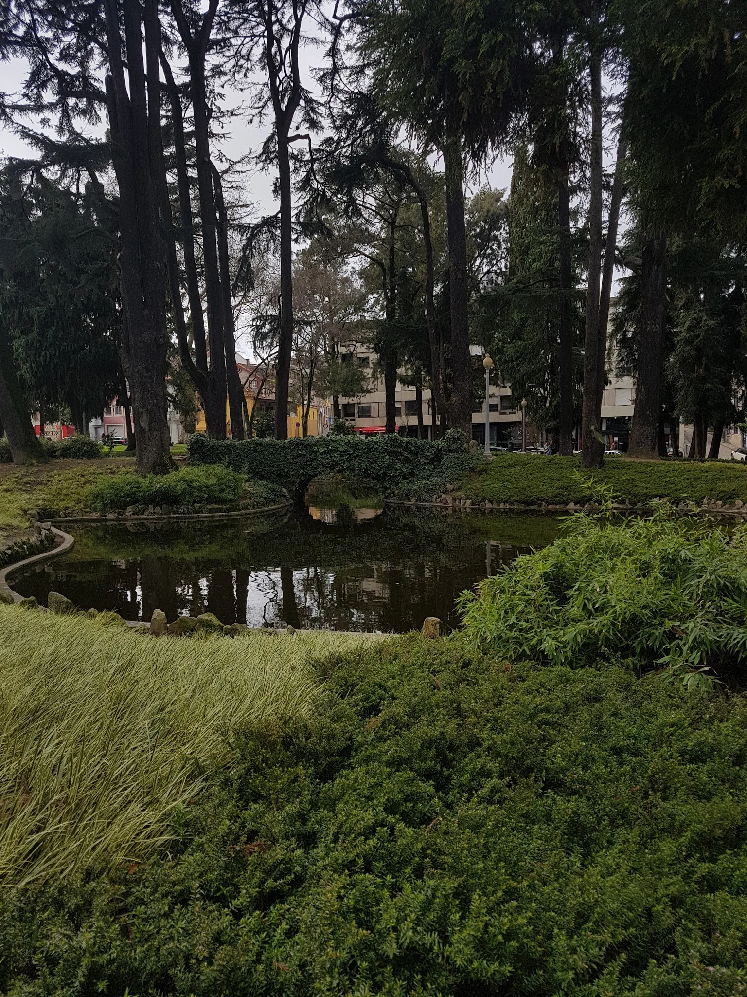 Main view at Jardim do Carregal (Carrilho Videira) Porto — travel photo