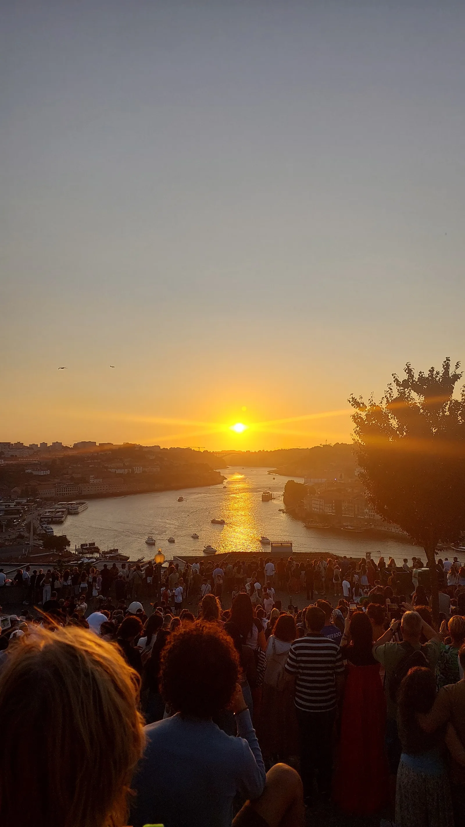Atmosphere at Jardim do Morro Porto — travel photo