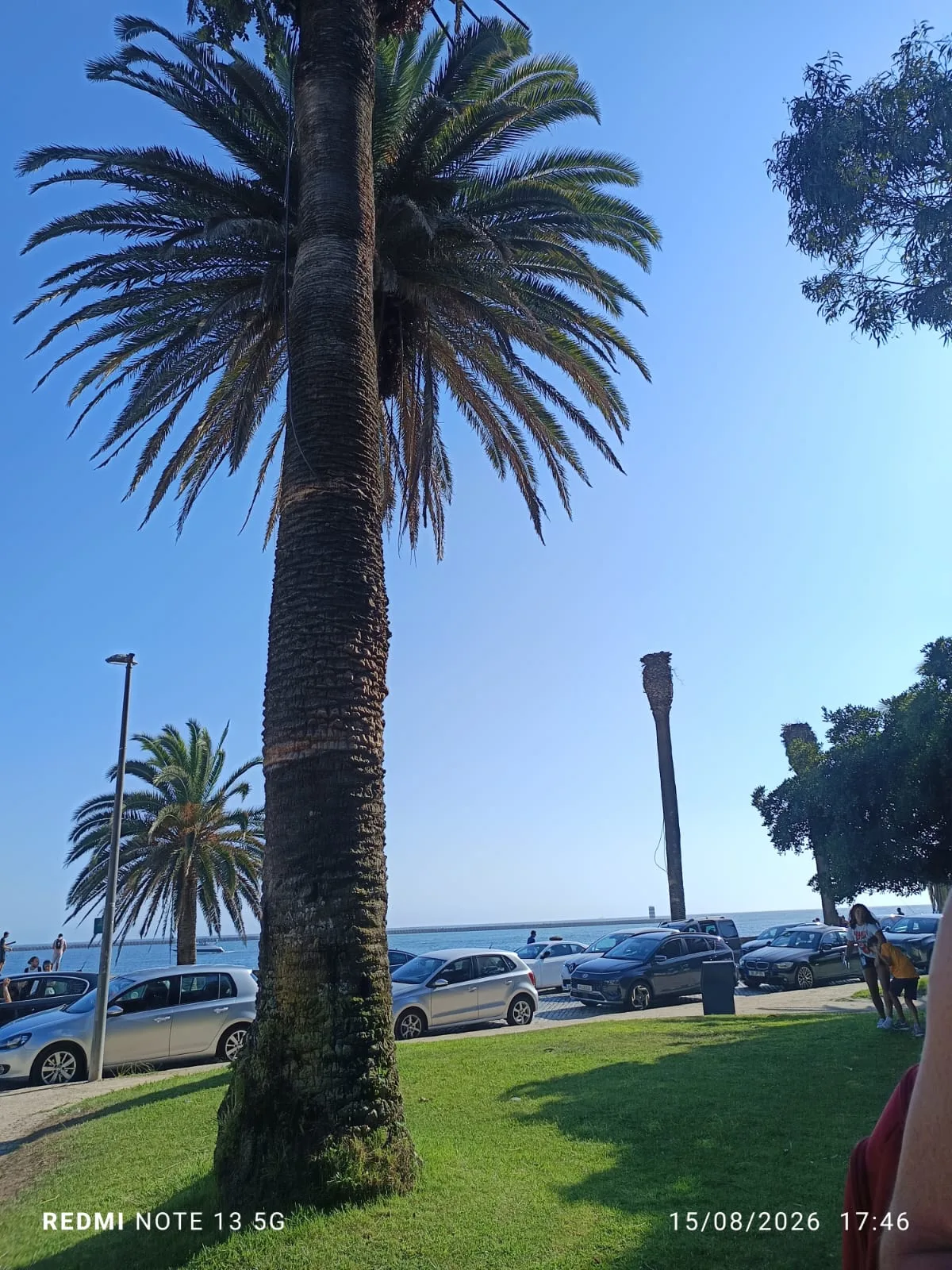 Main view at Jardim do Passeio Alegre Porto — travel photo