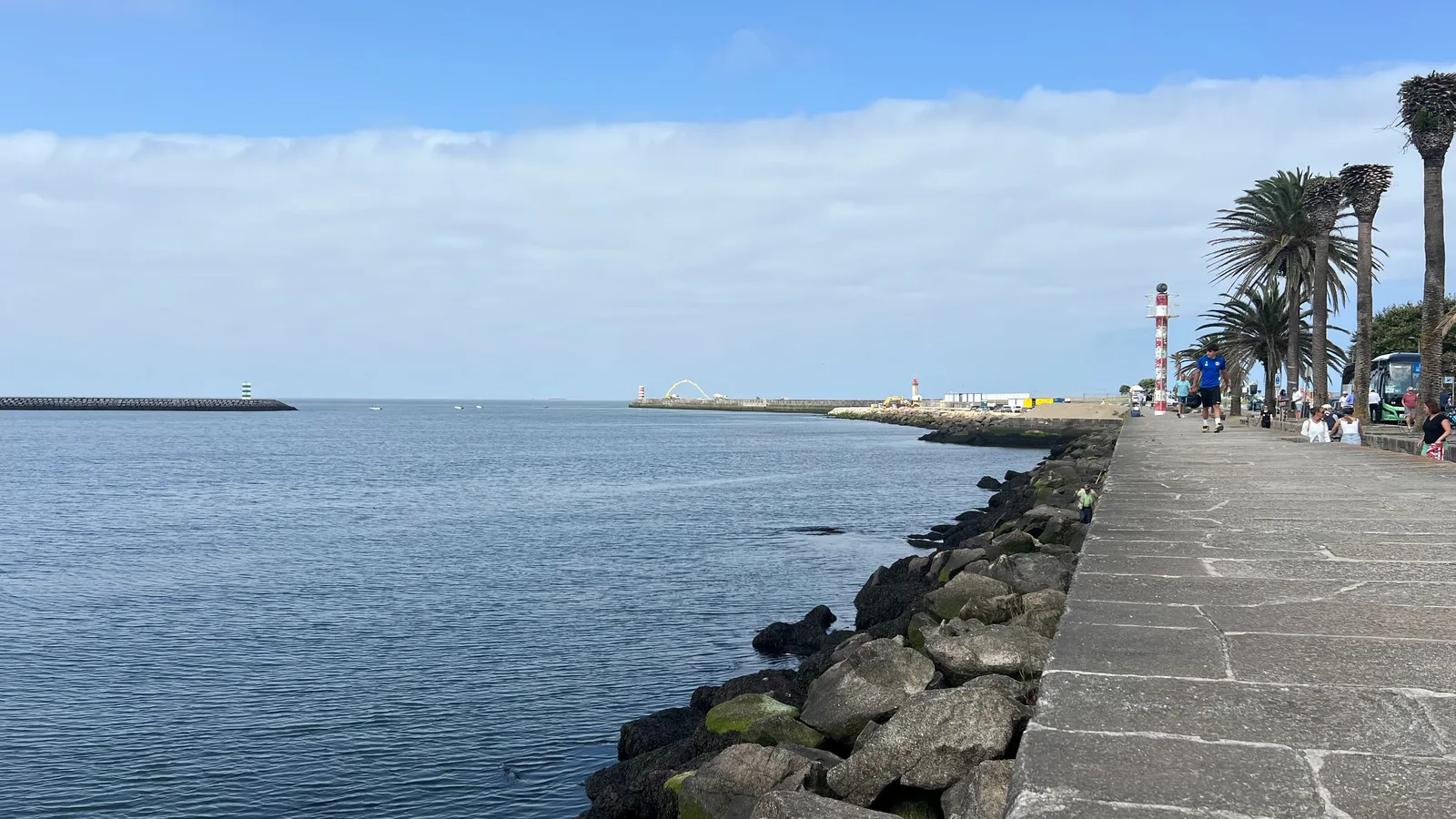 Atmosphere at Jardim do Passeio Alegre Porto — travel photo