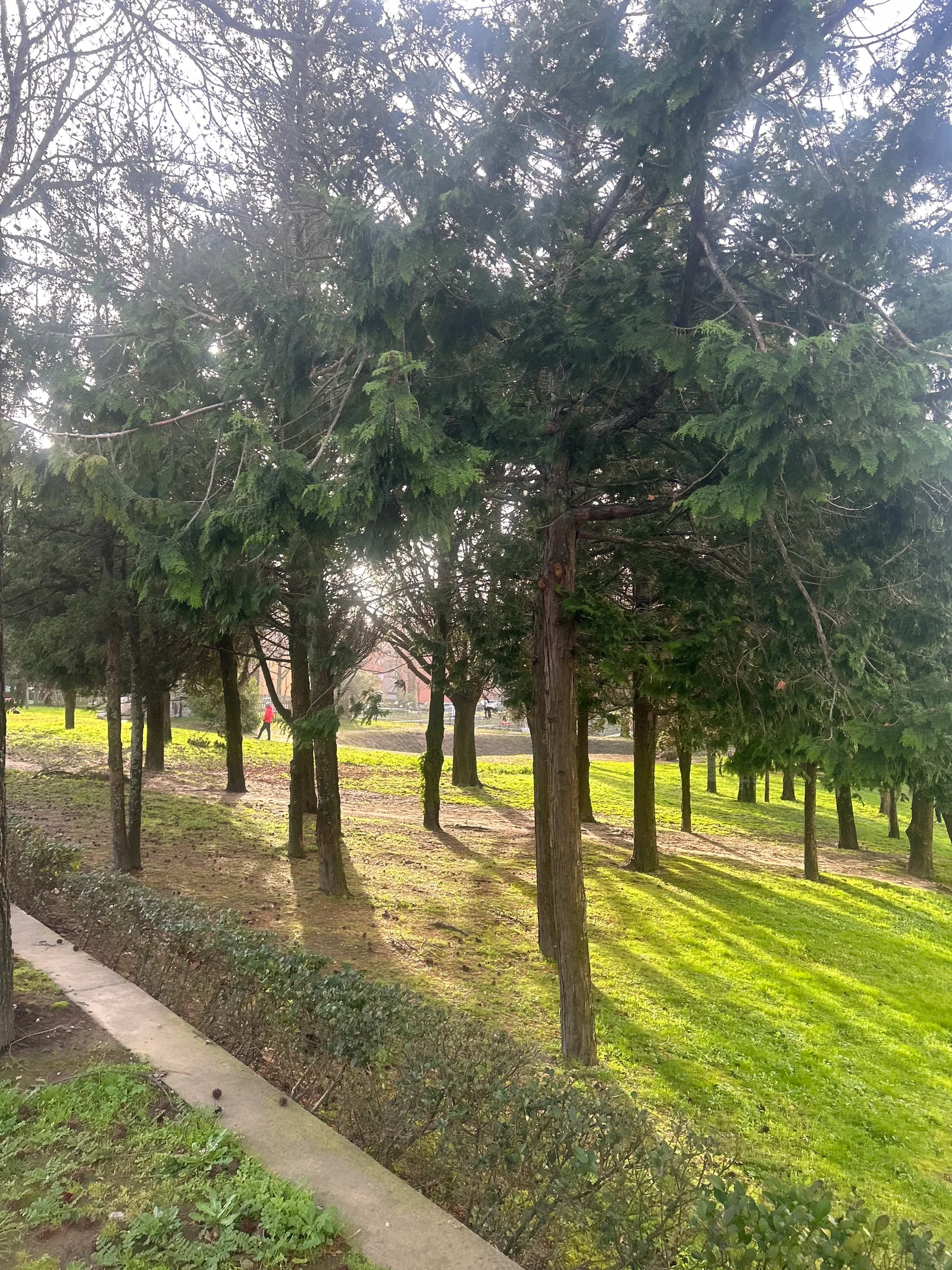 Interior at Jardim Paulo Vallada Porto — travel photo