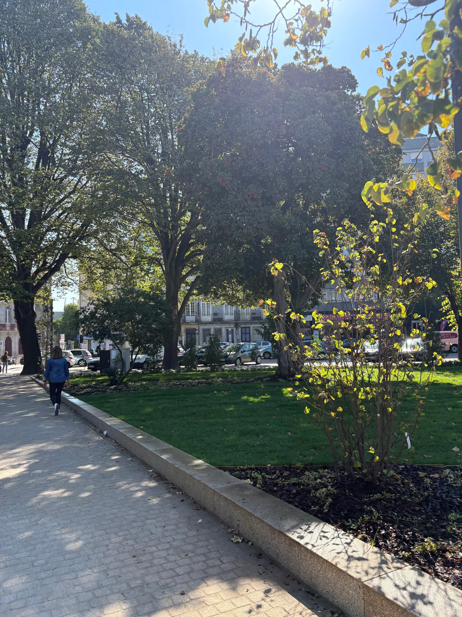 Atmosphere at Jardim Teófilo Braga Porto — travel photo